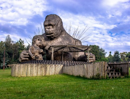 8 Days Rwanda Adventure Safaris