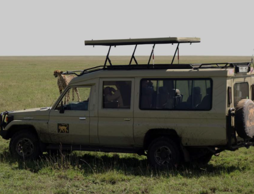 Majestic Maasai Mara Getaway