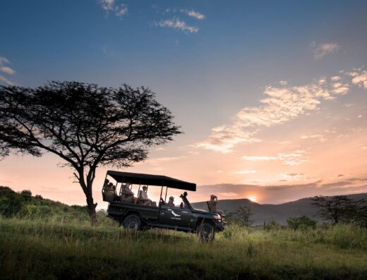 7-Day Tarangire, Serengeti, Ndutu & Crater Safari