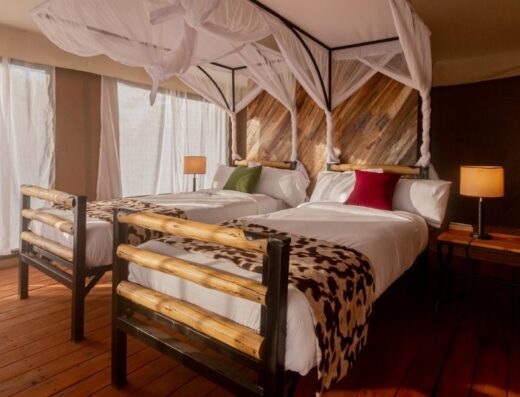 SERENGETI HOUSE OF NATURE