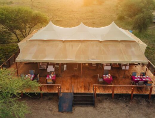 SERENGETI HOUSE OF NATURE