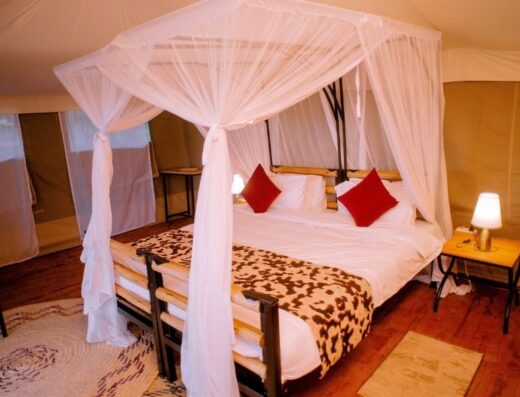 SERENGETI HOUSE OF NATURE