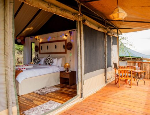 TARANGIRE  HOUSE OF NATURE