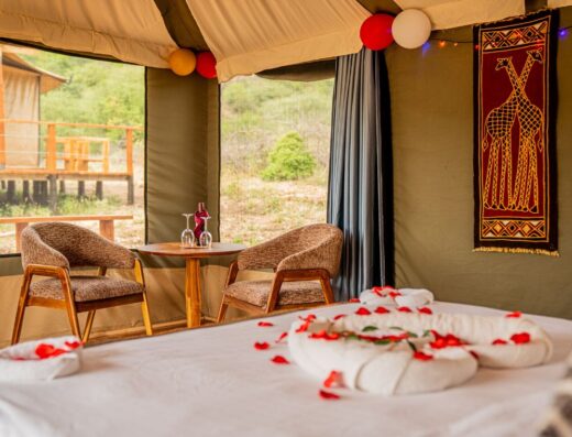 TARANGIRE  HOUSE OF NATURE